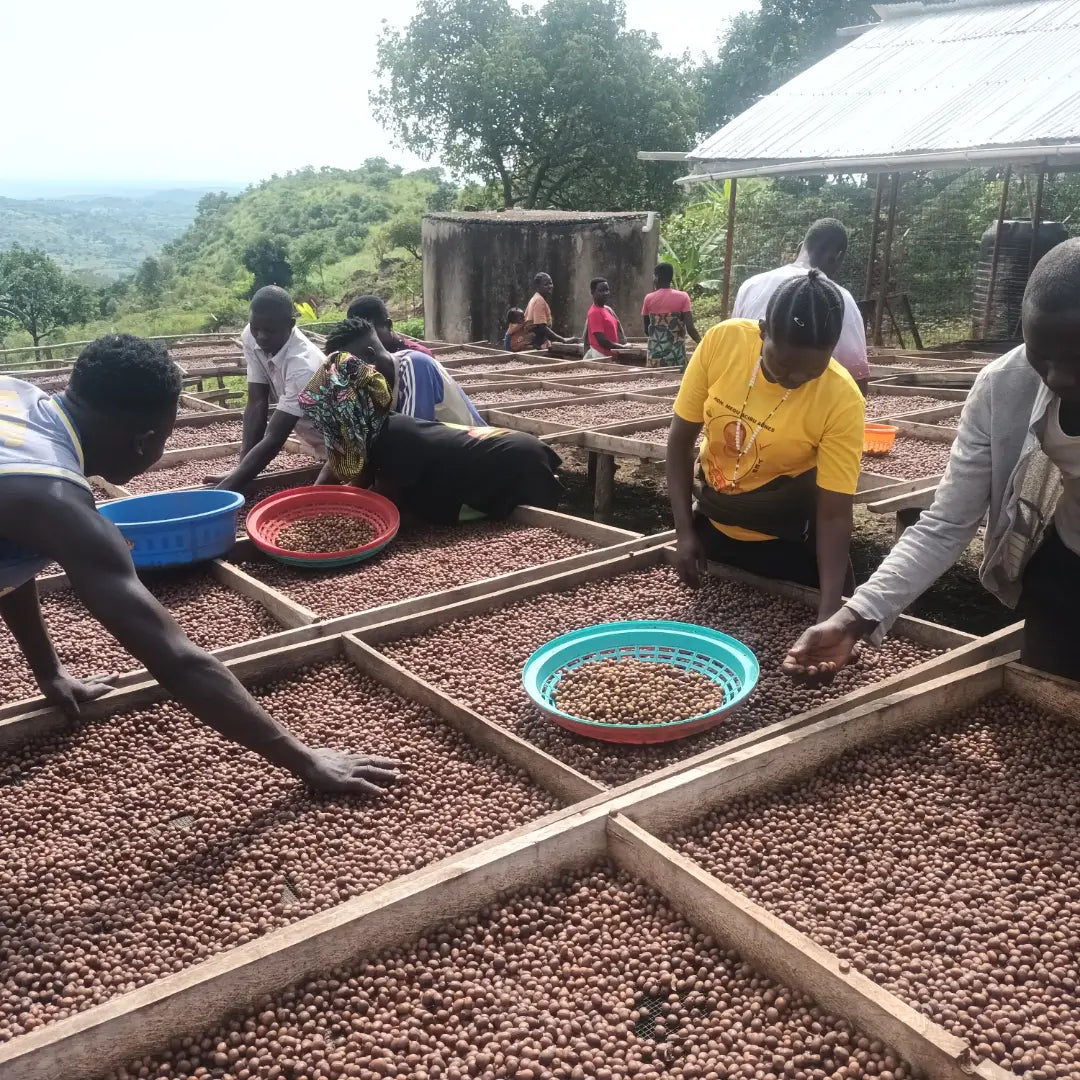 Okebu Women's Coffee